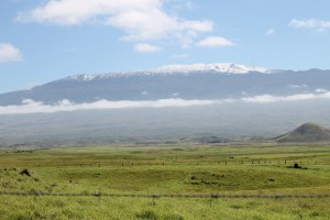ワイメアのパーカー牧場から見た山頂が真っ白なマウナケア山