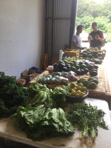 地元で採れた新鮮野菜も！