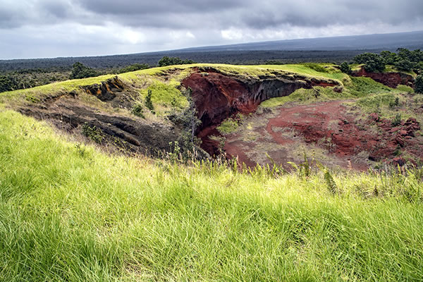 カフク・ユニット | パシフィックリゾートのホロホロ ハワイ カワラ版
