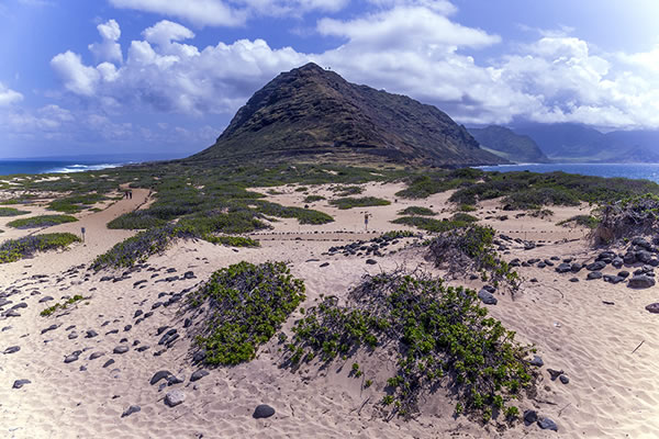 岬魂 灼熱のカエナ岬 | パシフィックリゾートのホロホロ ハワイ カワラ版