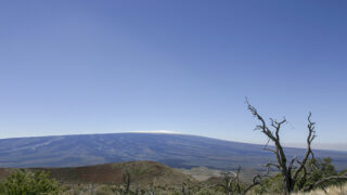 マウナ・ロア | パシフィックリゾートのホロホロ ハワイ カワラ版