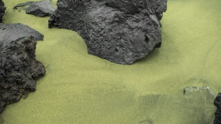 ハワイの砂 DSC0329-320x180.jpg