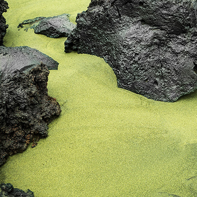 ハワイの砂 fbicon-special286.jpg