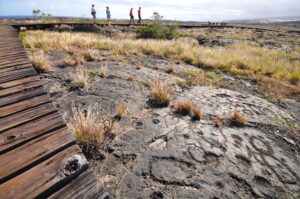 ハワイ火山国立公園内にあるプウ・ロア・ペトログリフ