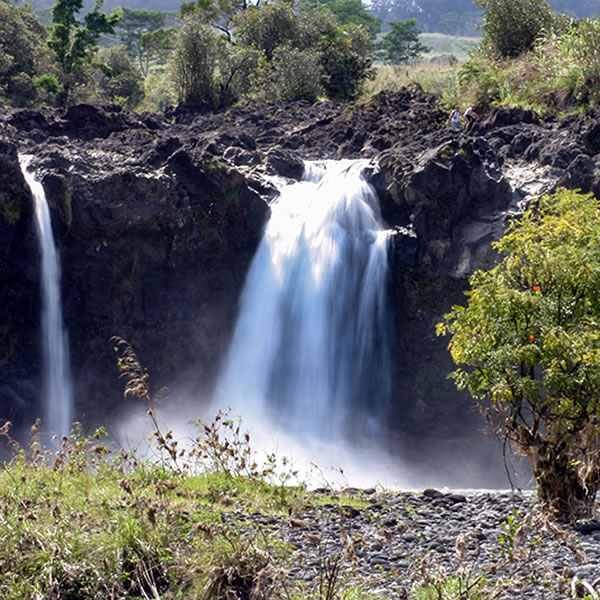 ワイルク川の神話 | パシフィックリゾートのホロホロ ハワイ カワラ版