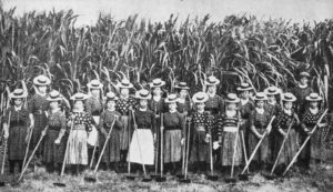 サトウキビ農園と日本の女性労働者