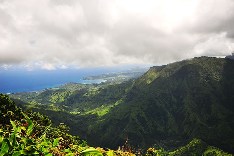 雨の楽園へ行こう！・その2＜カウアイ島＞ | パシフィックリゾートの