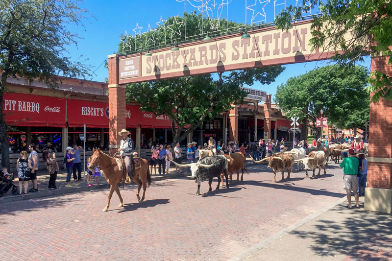 まるで西部劇の世界の様なストックヤード